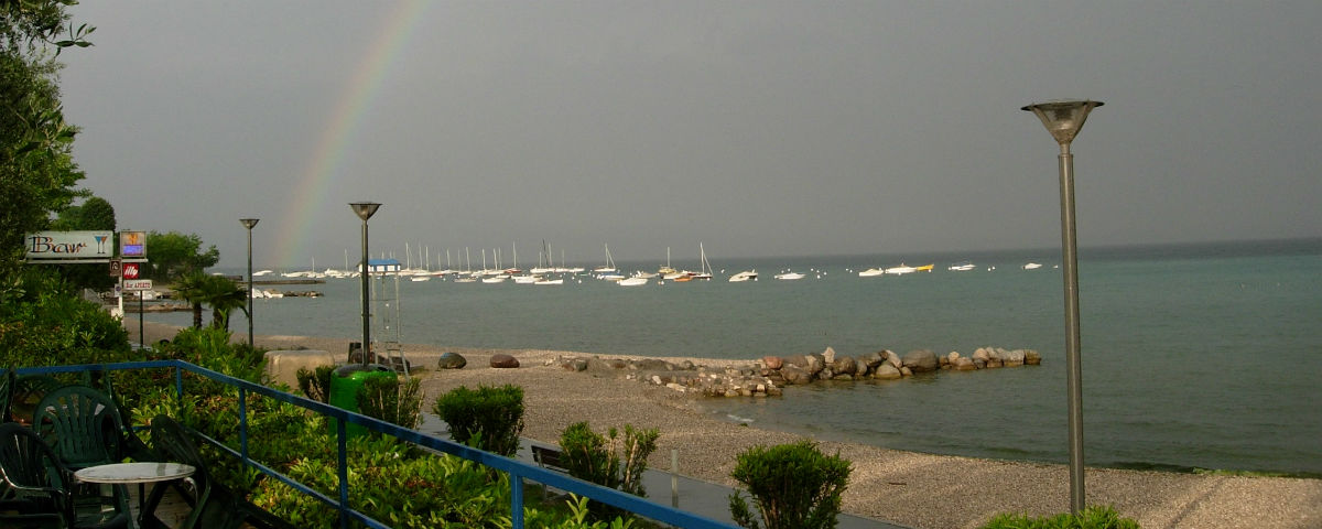 Boe sul Lago di Garda